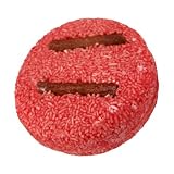 NEW! Solid Shampoo by LUSH