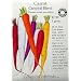 Organic Carrot Seeds Carnival Blend