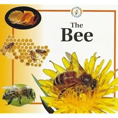 The Bee (Life Cycles)
