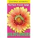 Wildflowers (National Geographic: My First Pocket Guide)