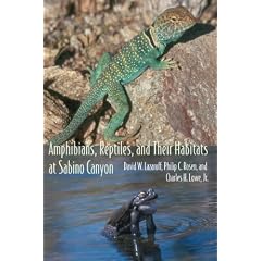 Amphibians, Reptiles, and Their Habitats at Sabino Canyon (Southwest Center)