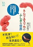 �ͥ��楹�ꥫ�Τդ��������� (�����å�����)