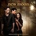 zum Twilight-Special