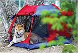 Kyjen Medium Pet Tent and Shelter