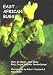 Book East African Bugs