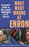 What Went Wrong at Enron: Everyone's Guide to the Largest Bankruptcy in U.S. History