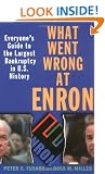 What Went Wrong at Enron