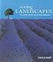 Seeing Landscapes