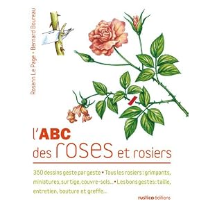 potager ecologique