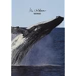 バンドスコア Mr.Children/SENSE (BAND SCORE)