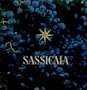 Sassicaia: The Supertuscan Original