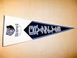Memphis Grizzlies - NBA Basketball Classic (Pennants)