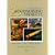 25 Woodworking Projects (Woodenboat Series)