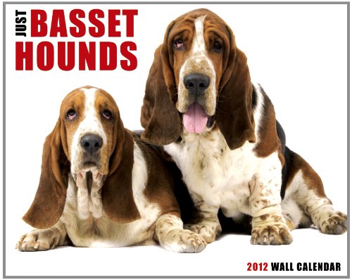 Basset Hounds 2012 Calendar (Willow Creek))