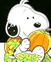 Baby Snoopy's Pumpkin