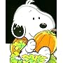 Baby Snoopy's Pumpkin