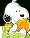 Baby Snoopy's Pumpkin