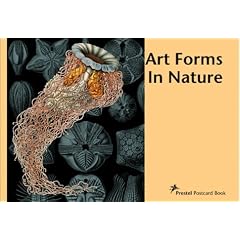 Art Forms In Nature. Postcard Book. 30 farbige Postkarten. Mit einf�hrendem Text in Deutsch und Englisch: Ernst Haeckel (Prestel Postcard Books)