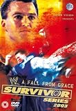 Review Silver Vision  / WWE - Survivor Series 2003