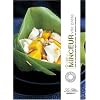 Cuisine minceur vite pr�te : Plus de 150 petits plats l�gers et sains + les apports caloriques
