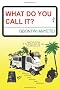 What Do You Call It?: Humour. Tribalism. Love. Culture. Revenge. Cool. REMIXED
