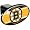 Boston Bruins