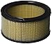 Oregon 30-093 Air Filter Kohler Cub Cadet
