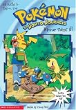 Winner Takes All (Pokemon Chapter Books)