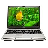 Product details for Toshiba Satellite P105-S6167 17