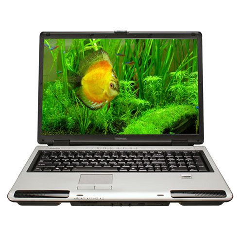 PCHardware: Toshiba Satellite P105 S6167 17