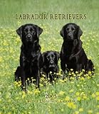 Labrador Retrievers 2005 Weekly Engagement Calendar