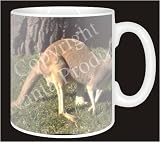 Review Advanta  / KANGAROO Coffee Mug