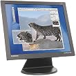 SAMSUNG 174V 17-inch LCD Monitor - Black