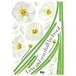 Nursery Easy Apply Wall Sticker Decorations - Poppy Flowers and Love