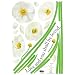 Reusable Decoration Wall Sticker Decal - Poppy Flowers and Love