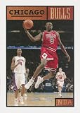 The Story of the Chicago Bulls (The NBA: a History of Hoops)