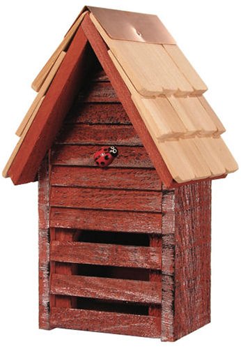 Ladybug House