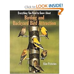 Everything You Need to Know About Birding and Backyard Bird Attraction