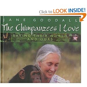 I Love Chimpanzees