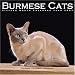 Burmese Cats 2007 Wall Calendar by Pet Prints INC.