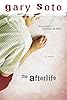 The Afterlife (Americas Award for Children's and Young Adult Literature. Commended (Awards))