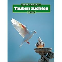 Tauben z�chten