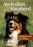 Australian Shepherd