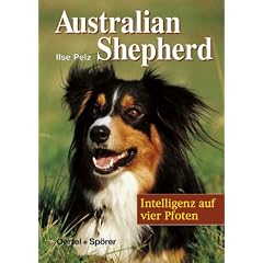 Australian Shepherd