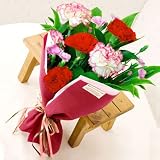 �������̂������͍ŒZ�ł̂��͂��ƂȂ�܂��y�z�B���w��s�z���y�Ȃł����z�J�[�l�[�V������...