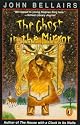 The Ghost in the Mirror (Lewis Barnavelt)