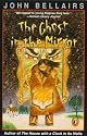 The Ghost in the Mirror (Lewis Barnavelt)