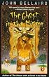 The Ghost in the Mirror (Lewis Barnavelt)