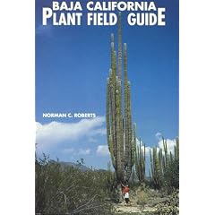 Baja California Plant Field Guide