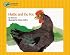 Hattie and the Fox (Stories to Go!)